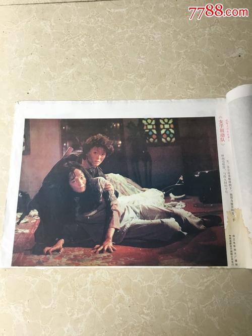 办假的阿根廷签证